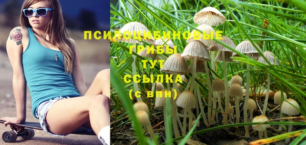mix Алексин