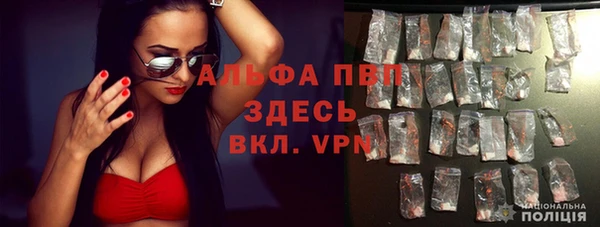 стаф Алексеевка