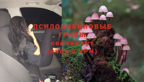 стаф Алексеевка